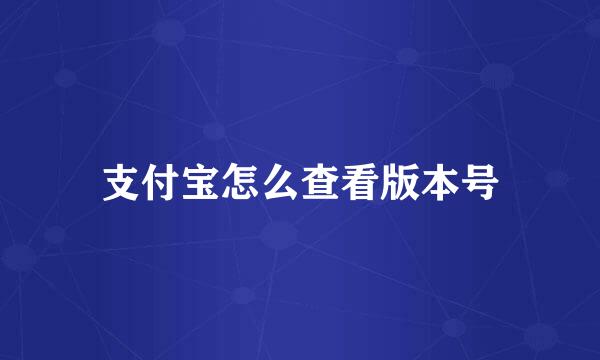 支付宝怎么查看版本号