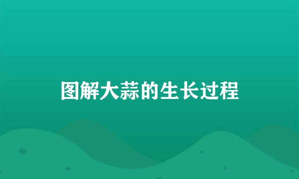 图解大蒜的生长过程
