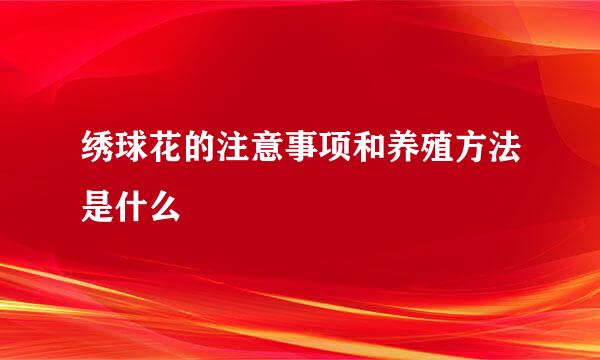绣球花的注意事项和养殖方法是什么