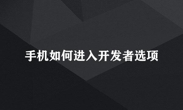 手机如何进入开发者选项