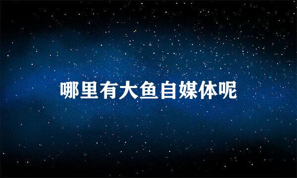 哪里有大鱼自媒体呢