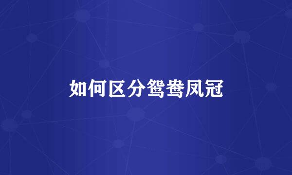 如何区分鸳鸯凤冠