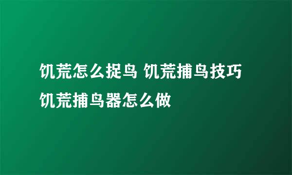 饥荒怎么捉鸟 饥荒捕鸟技巧 饥荒捕鸟器怎么做