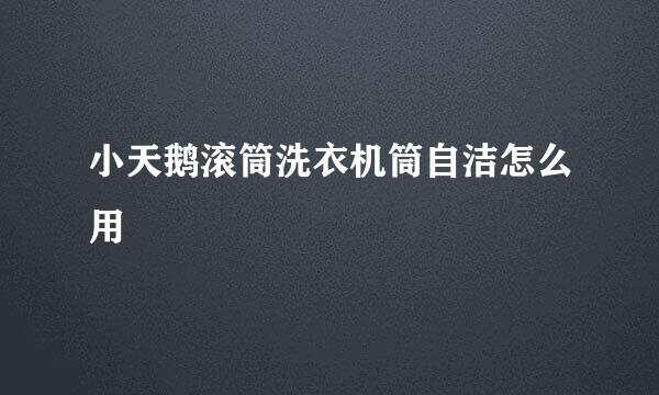 小天鹅滚筒洗衣机筒自洁怎么用