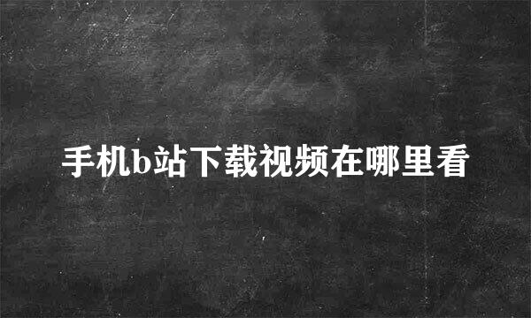 手机b站下载视频在哪里看