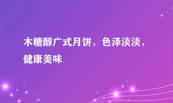 木糖醇广式月饼，色泽淡淡，健康美味