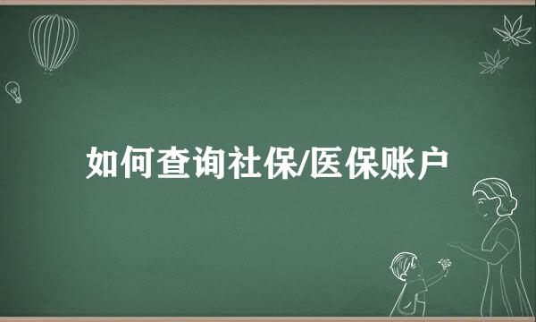如何查询社保/医保账户