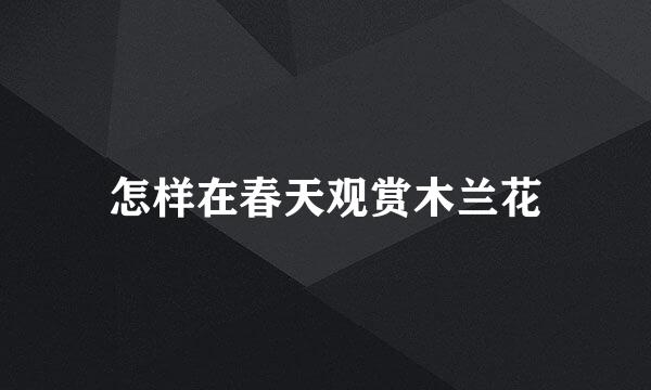 怎样在春天观赏木兰花