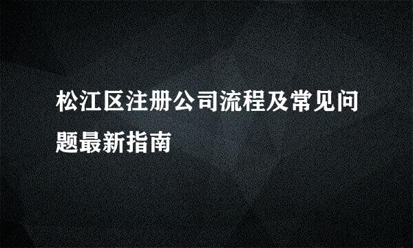 松江区注册公司流程及常见问题最新指南