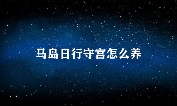 马岛日行守宫怎么养