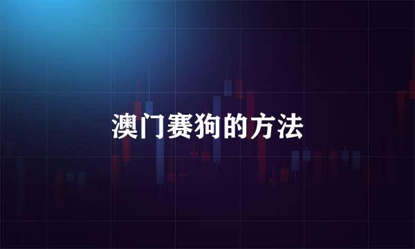 澳门赛狗的方法