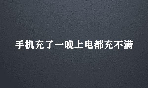 手机充了一晚上电都充不满