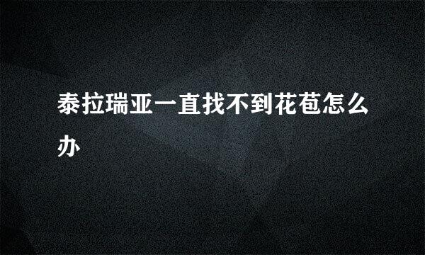 泰拉瑞亚一直找不到花苞怎么办