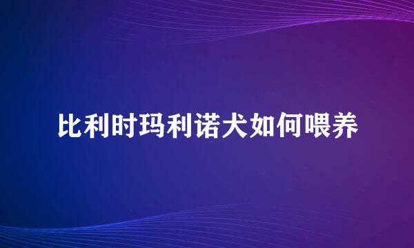 比利时玛利诺犬如何喂养