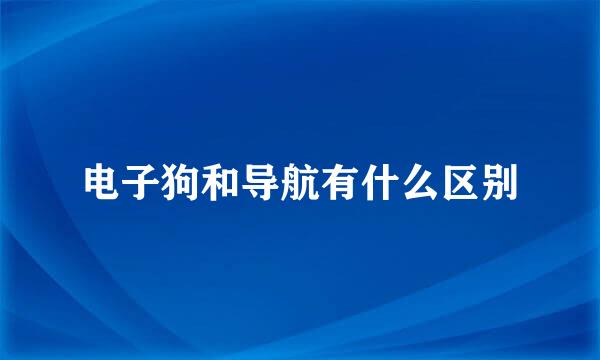 电子狗和导航有什么区别