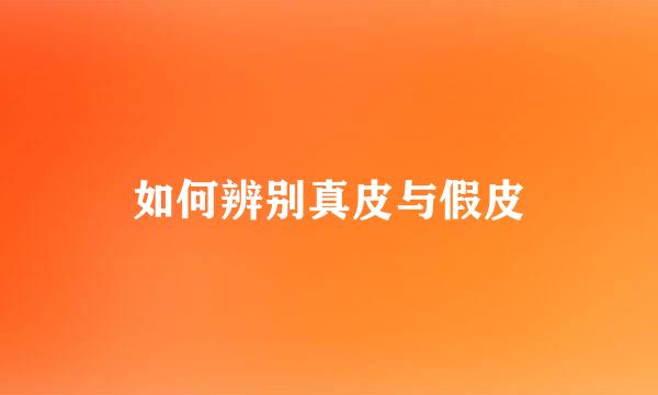 如何辨别真皮与假皮