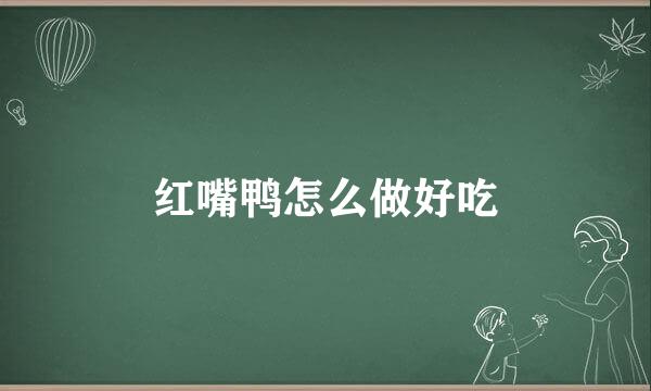 红嘴鸭怎么做好吃