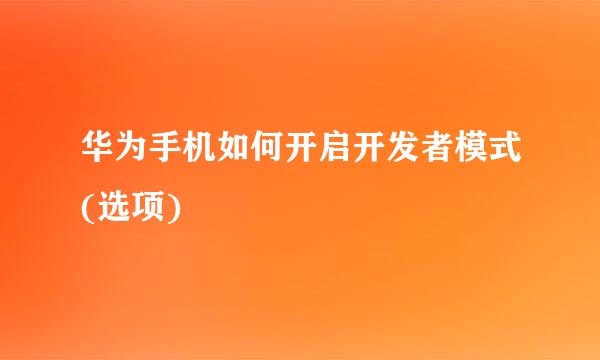 华为手机如何开启开发者模式(选项)