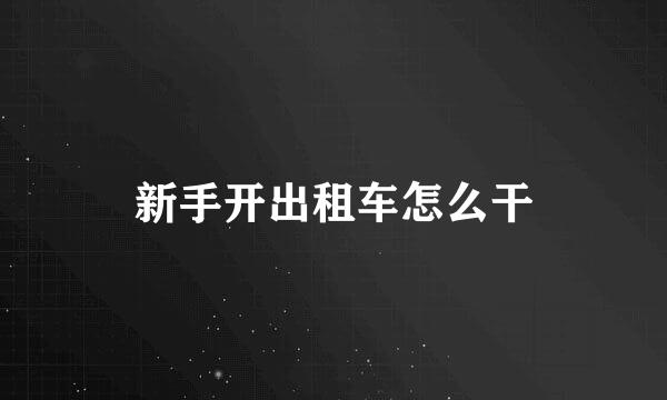 新手开出租车怎么干