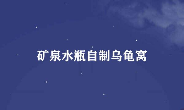 矿泉水瓶自制乌龟窝