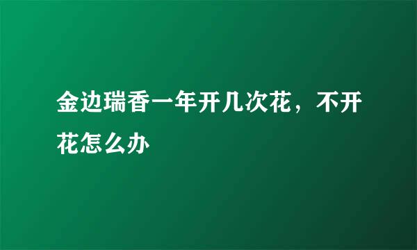 金边瑞香一年开几次花，不开花怎么办
