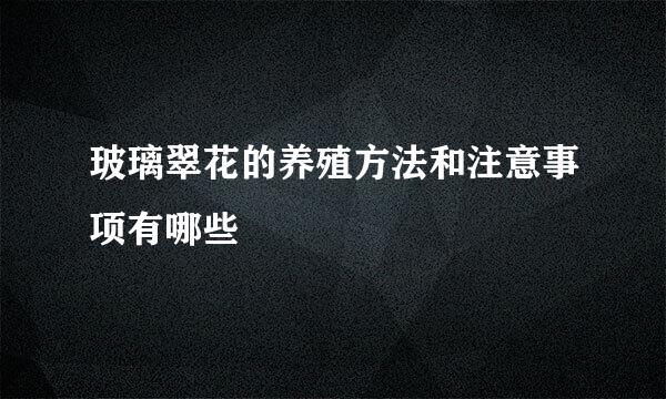 玻璃翠花的养殖方法和注意事项有哪些