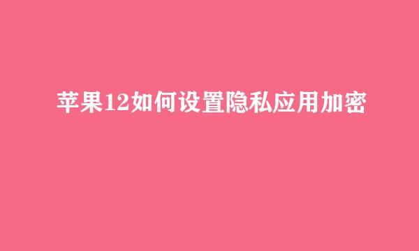 苹果12如何设置隐私应用加密