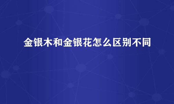 金银木和金银花怎么区别不同