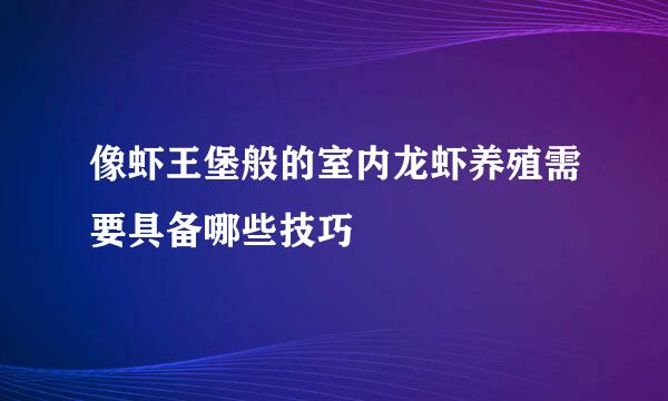 像虾王堡般的室内龙虾养殖需要具备哪些技巧