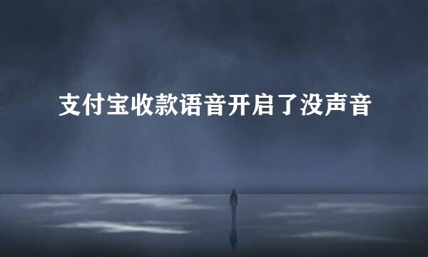 支付宝收款语音开启了没声音
