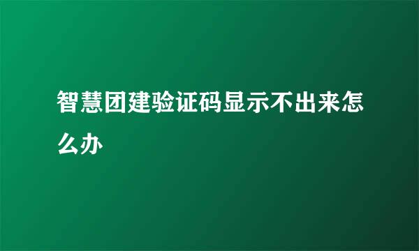 智慧团建验证码显示不出来怎么办