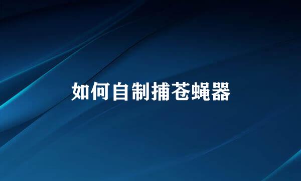 如何自制捕苍蝇器