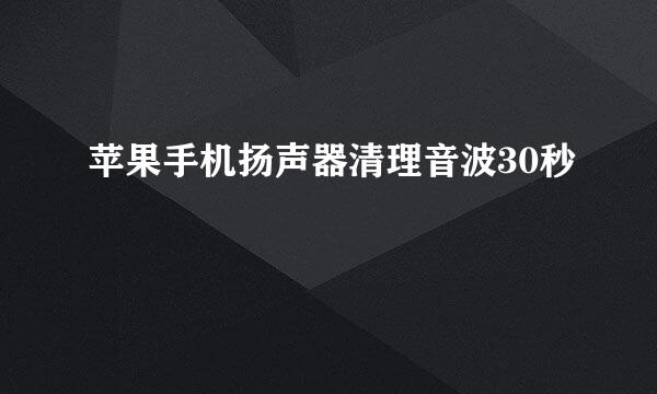 苹果手机扬声器清理音波30秒
