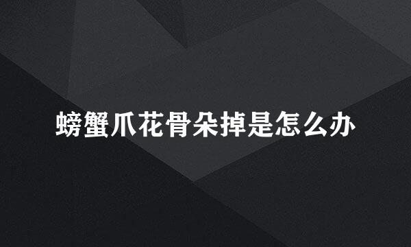 螃蟹爪花骨朵掉是怎么办