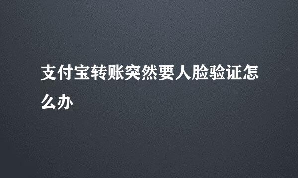 支付宝转账突然要人脸验证怎么办