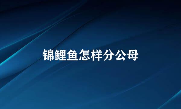 锦鲤鱼怎样分公母