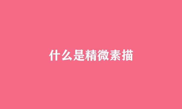 什么是精微素描
