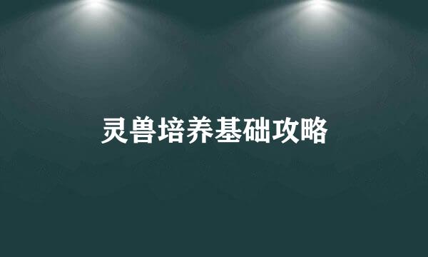灵兽培养基础攻略
