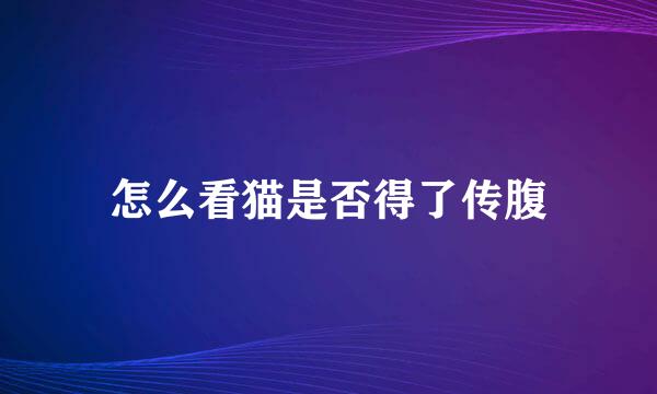怎么看猫是否得了传腹