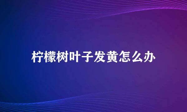 柠檬树叶子发黄怎么办