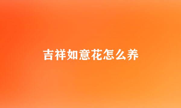 吉祥如意花怎么养