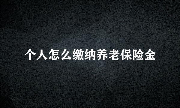 个人怎么缴纳养老保险金