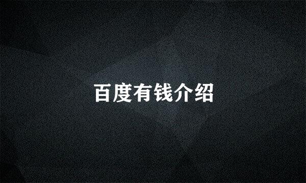 百度有钱介绍