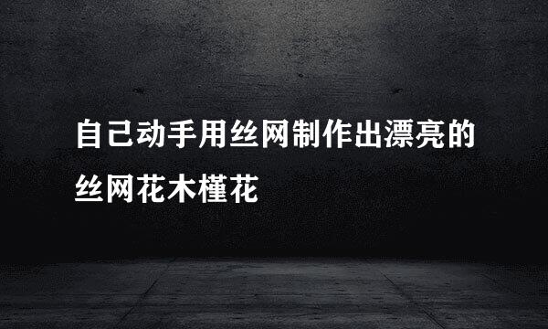自己动手用丝网制作出漂亮的丝网花木槿花