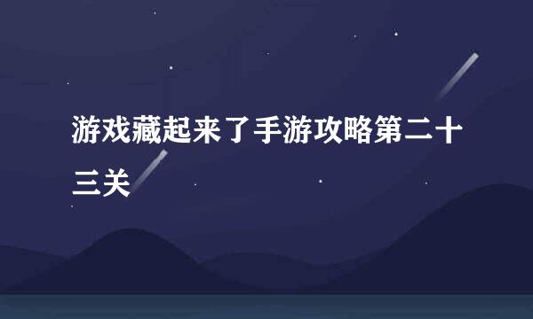 游戏藏起来了手游攻略第二十三关