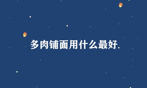 多肉铺面用什么最好