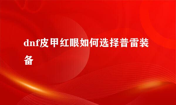 dnf皮甲红眼如何选择普雷装备
