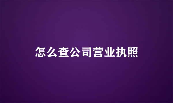 怎么查公司营业执照