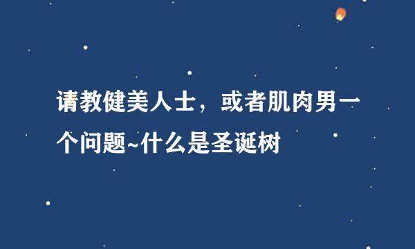 请教健美人士，或者肌肉男一个问题~什么是圣诞树