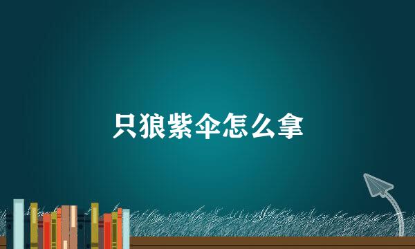 只狼紫伞怎么拿